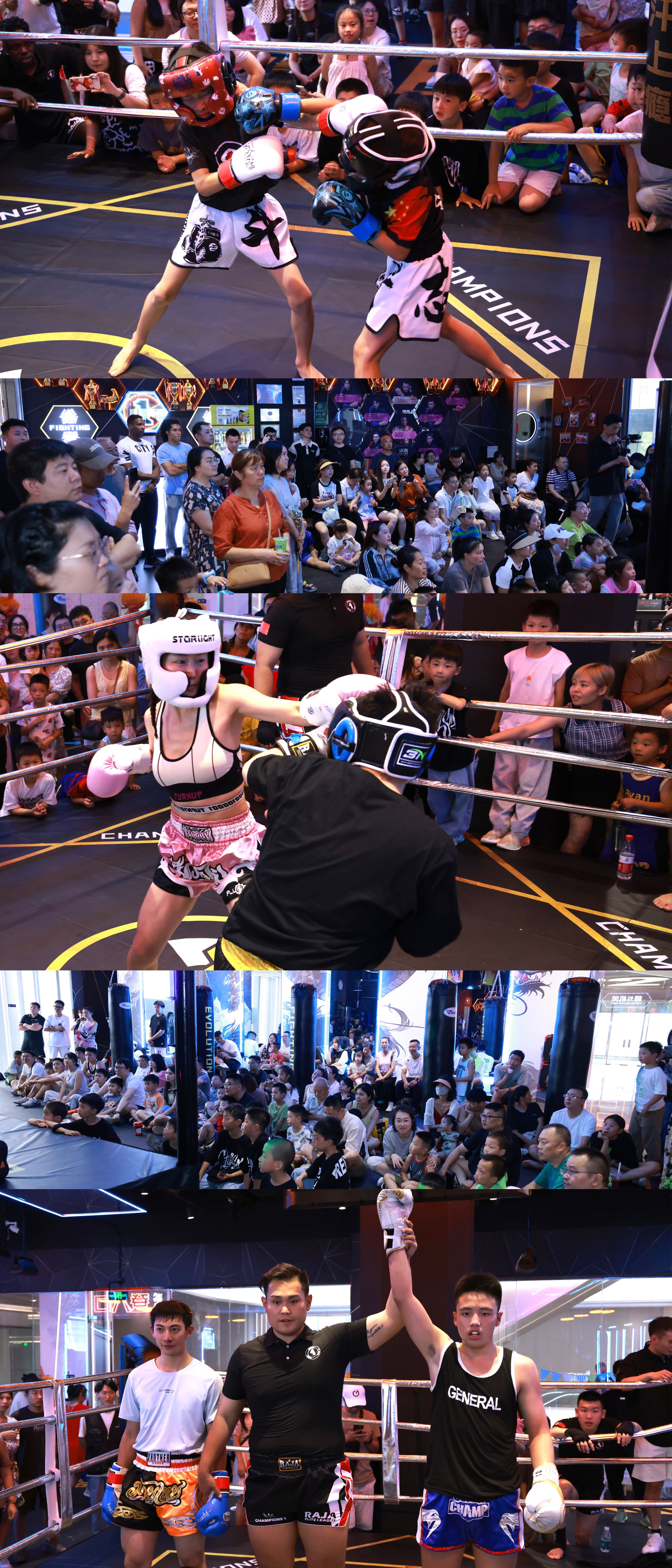 拳击热度飙升，网友热议不断