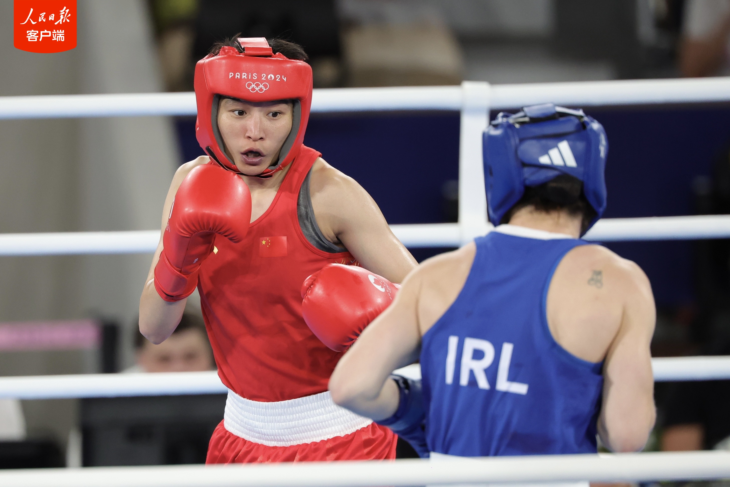 拳击热度飙升，网友热议不断