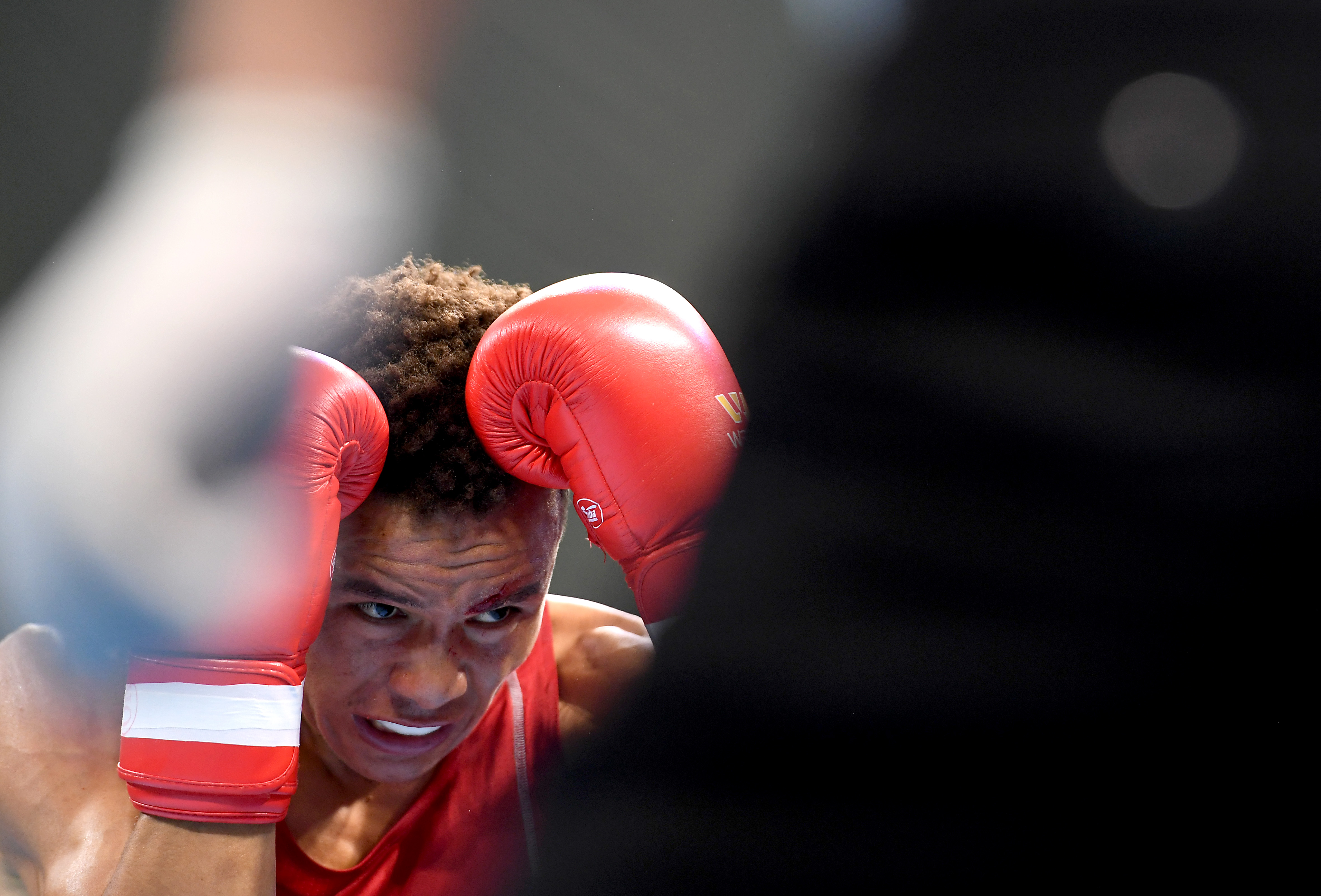 拳击赛事精彩瞬间盘点,年度回顾震撼登场 拳击赛事精彩瞬间盘点,年度回顾震撼登场