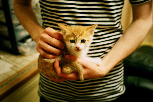 平行时空的交锋，当墨西哥与姆巴佩在同日定义淘汰赛本质