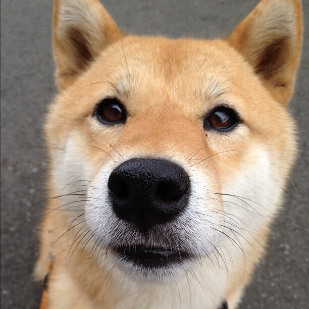 秘鲁爆冷力克国际米兰,孔德关键先生闪耀,改写足球历史