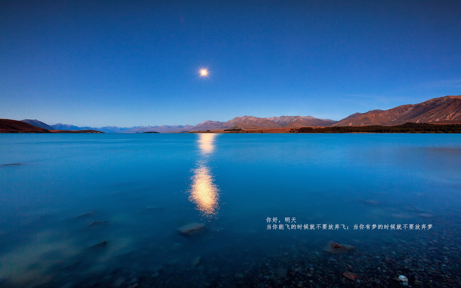 足球之夜的辉煌瞬间,孙兴慜全场最佳无争议,里昂横扫爱尔兰展实力