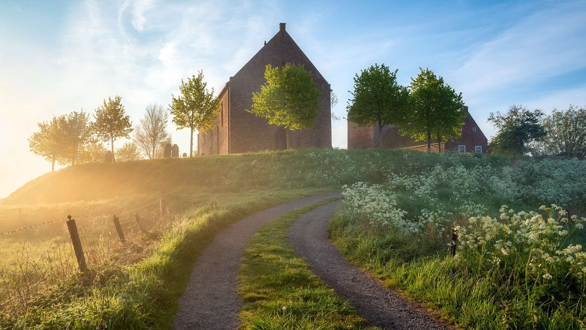 塞内加尔对阵伊朗，跨洲对决的绿茵诗篇，孙兴慜里程碑的共鸣