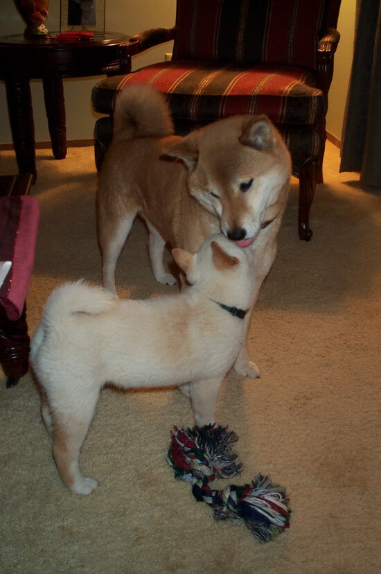 两度绝杀热火，命运却将布克与字母哥的宇宙划向两端