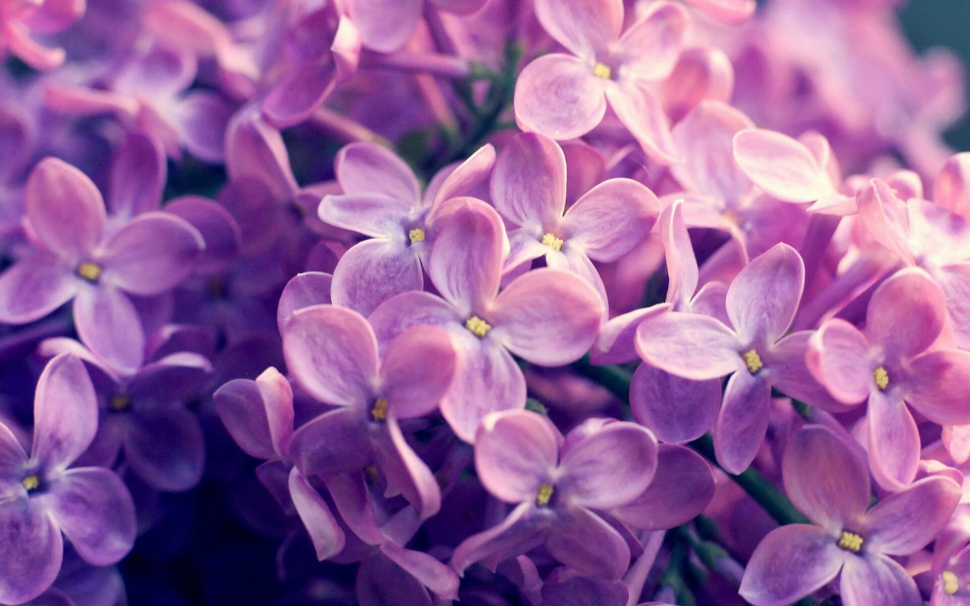 大舞台与闪电战，当巴尔韦德与曼联教会我们何谓决定性瞬间