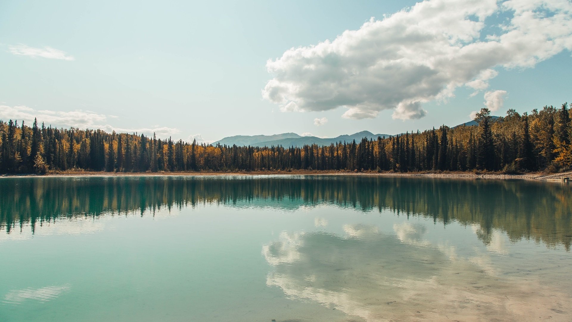 若日尼奥，那不勒斯的心脏与伊拉克的启示—当节奏大师跨越足球文明的对话