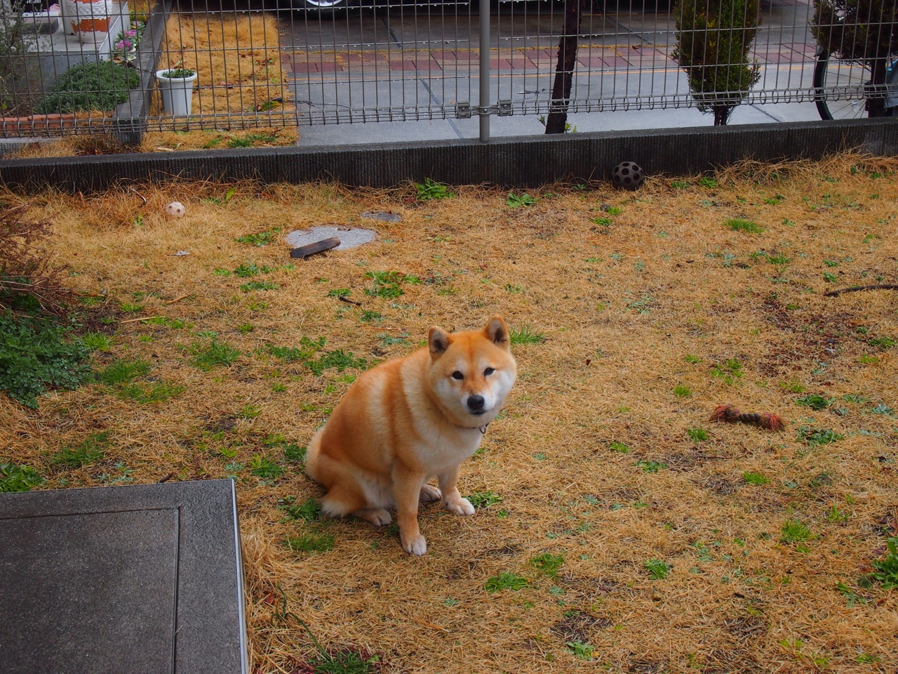 库里末节接管时间，灰熊火力全开终结奇才