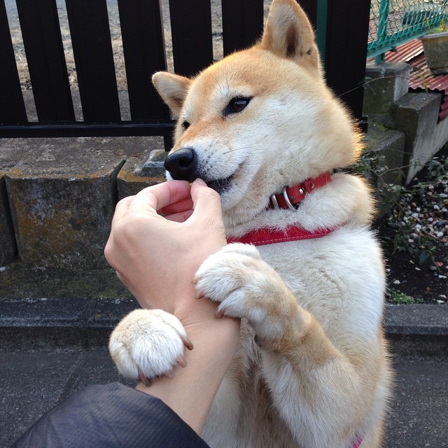 命运的轮盘赌，杜兰特末节17分逆天改命，森林狼压哨绝杀独行侠