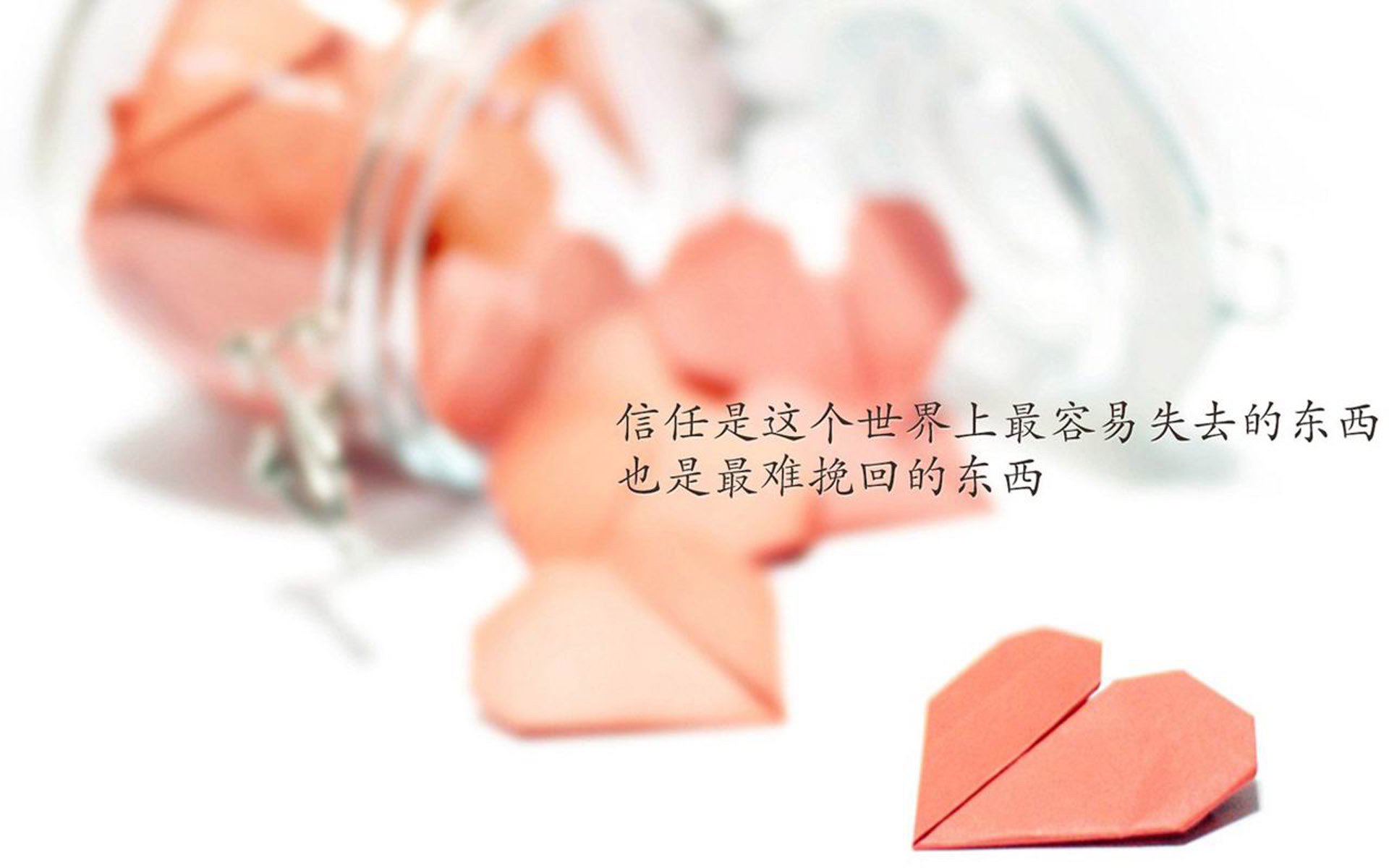 战火与玫瑰,厄瓜多尔的青春风暴,伊朗的钢铁意志,以及莫德里奇的不朽舞台