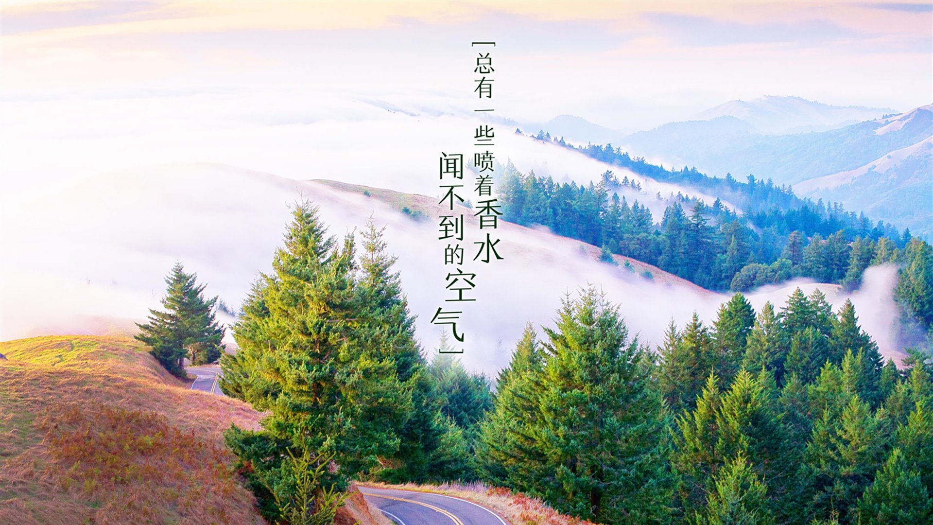 潘帕斯雄鹰的黄昏猎场，2026世界杯C组，当巨人杀手智利用内马尔之刃，为阿根廷写下最离奇的血色脚本