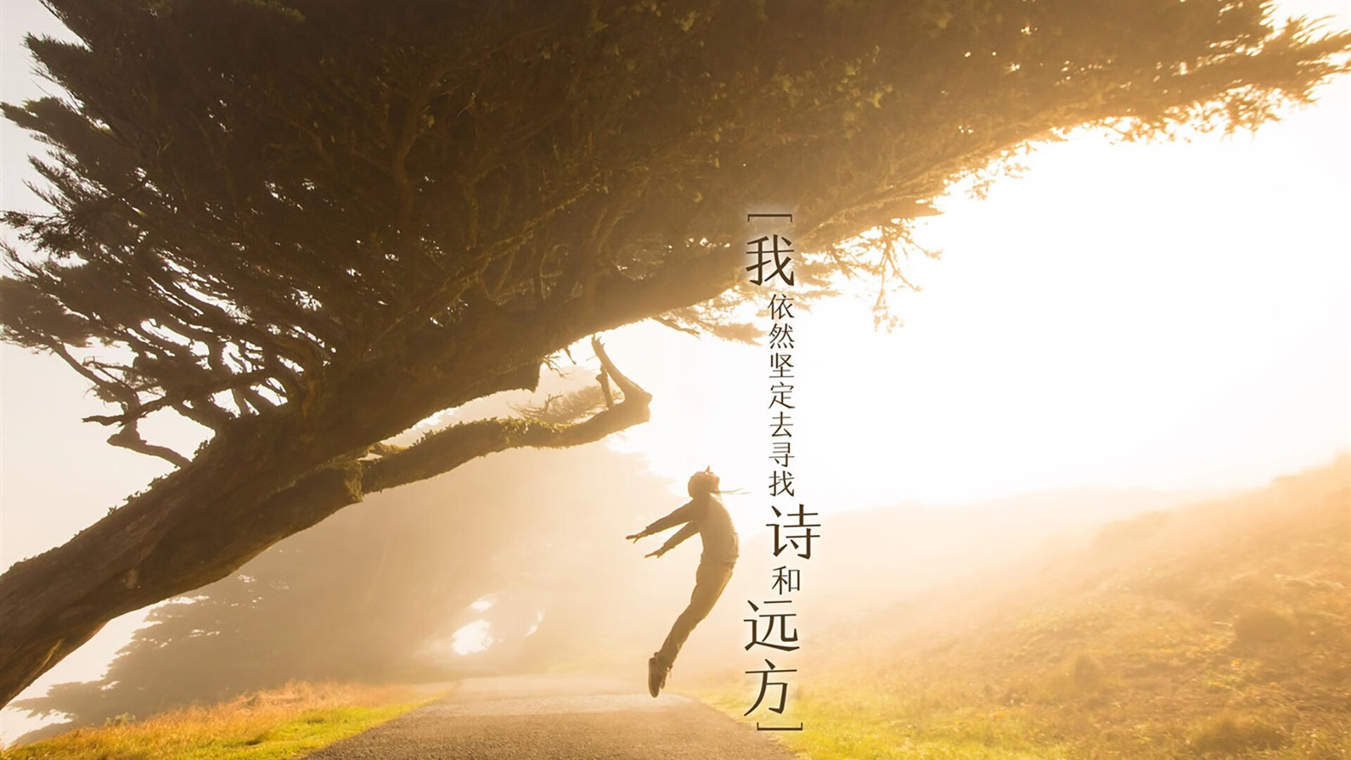 首先，扩展思维生成一个独特的文章标题