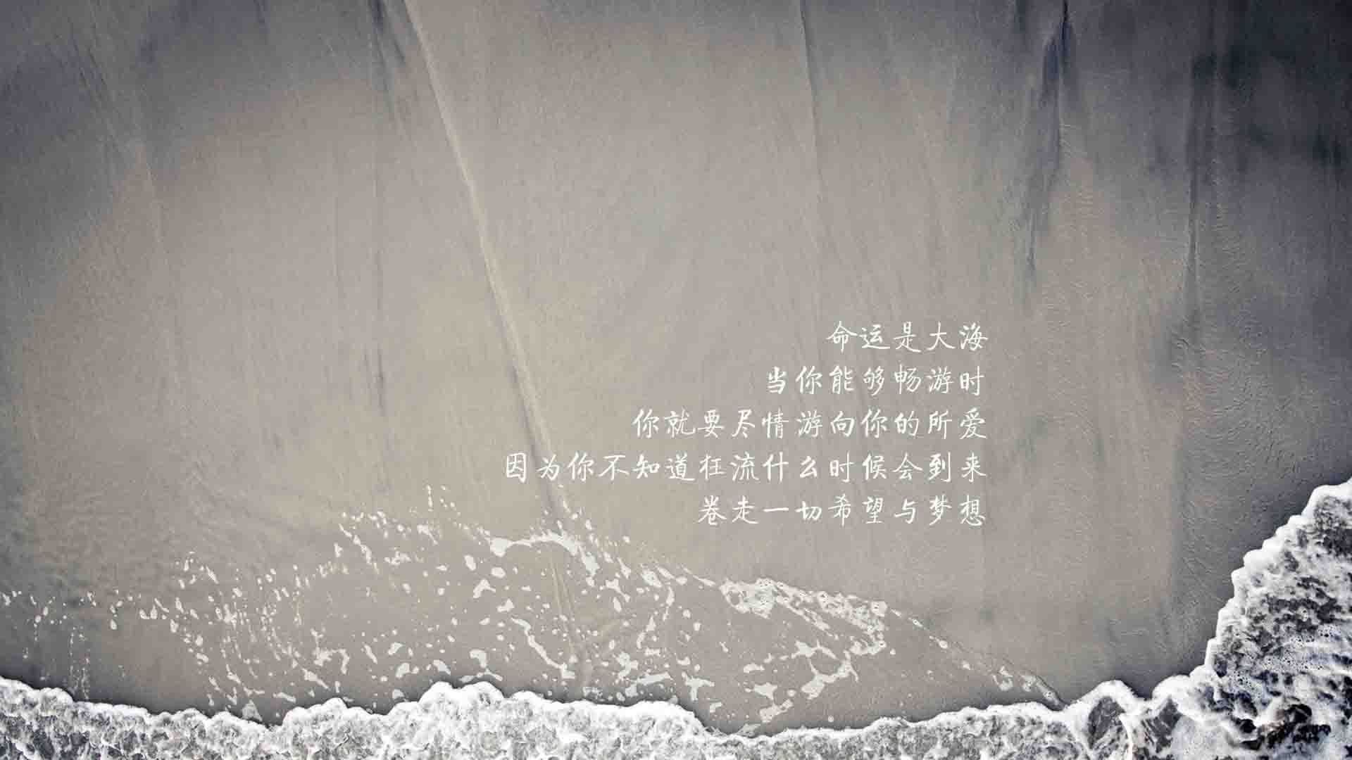 （供您选择）
