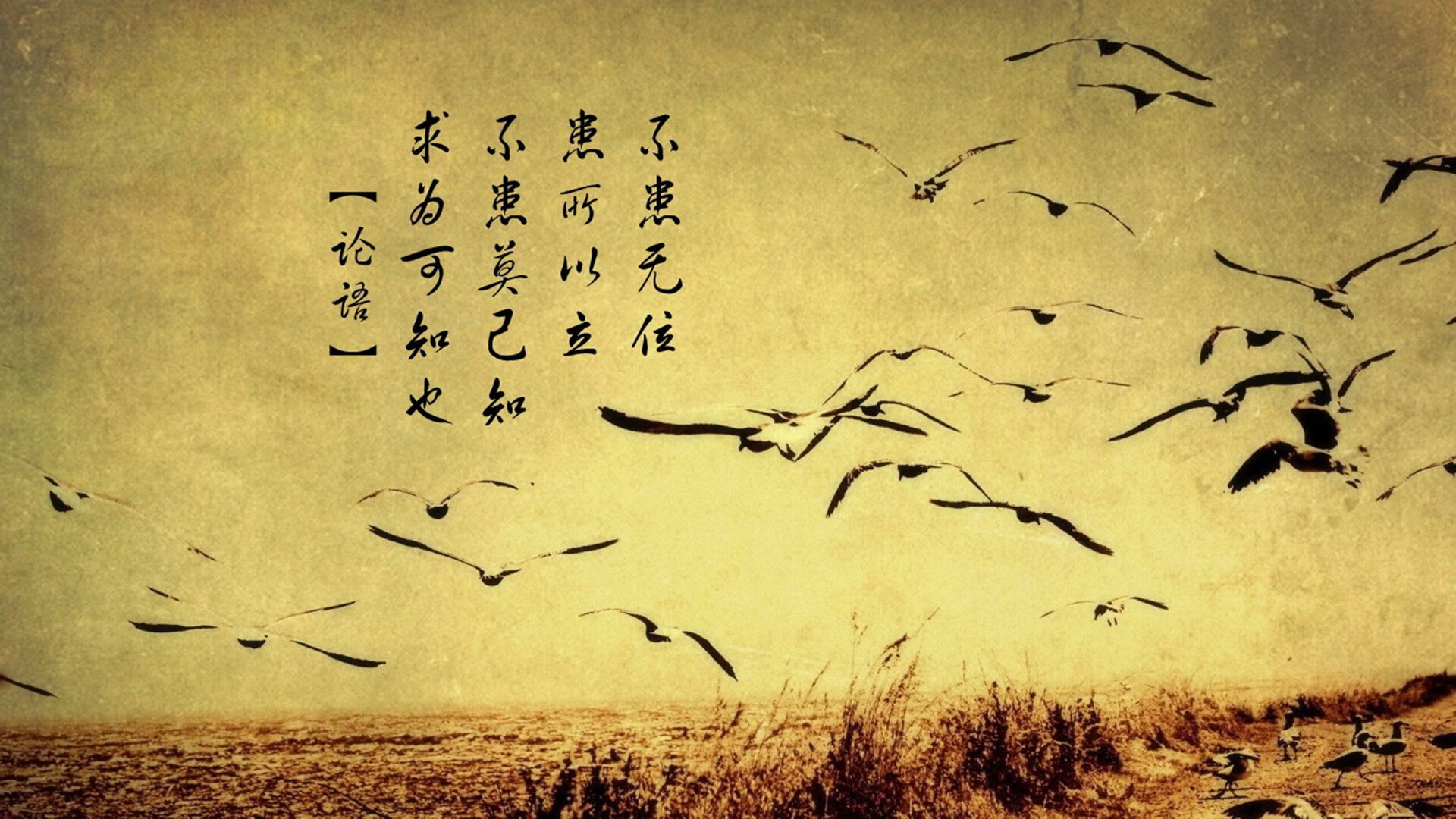归化灵魂与南亚奇迹,京多安双响炮定乾坤,印度2-1险胜墨西哥点燃A组烽火