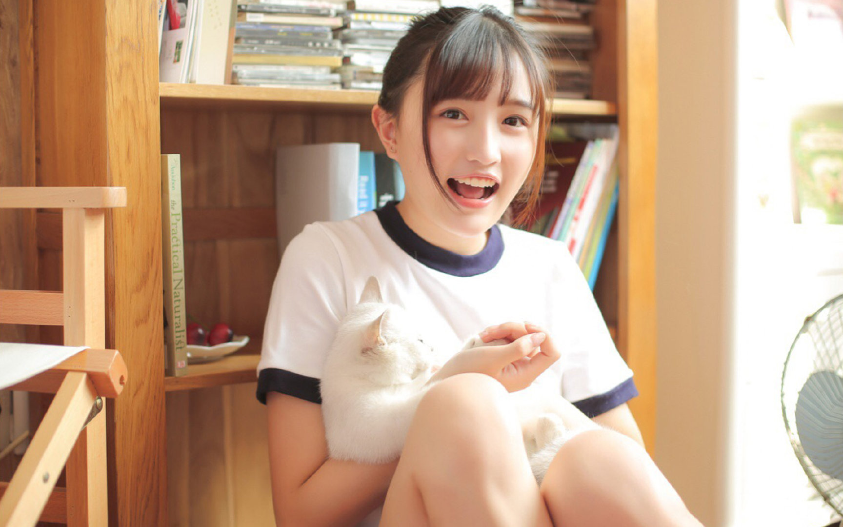 生死战解构，2026世界杯八分之一决赛，尼日利亚猎鹰击落美索不达米亚雄狮，阿诺德化身金色闪电